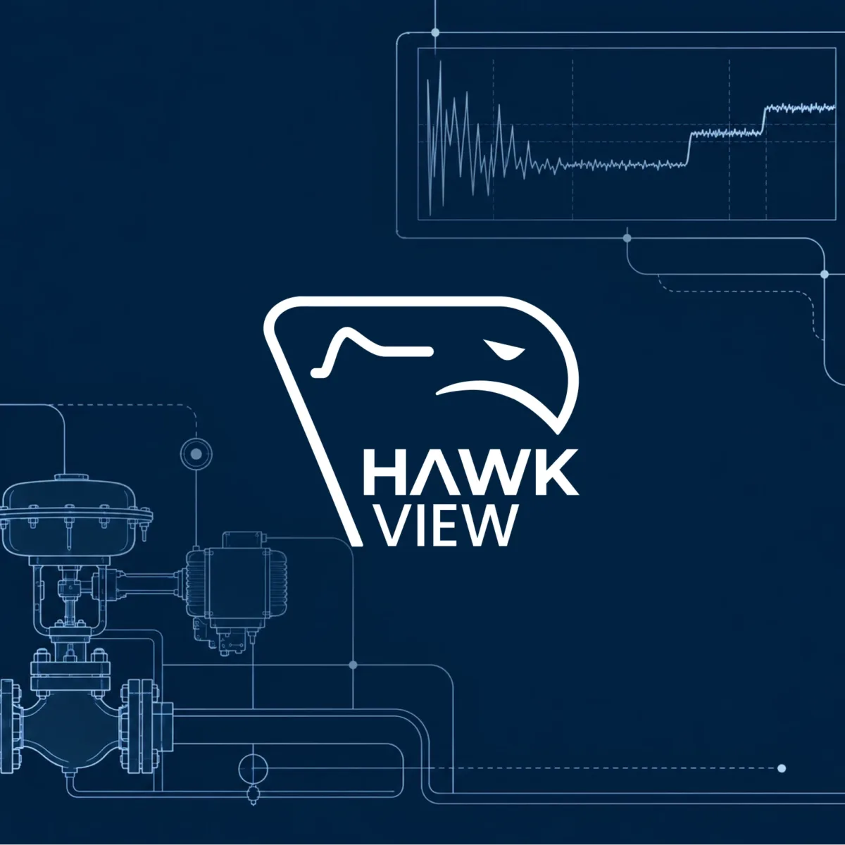 hero_hawkview
